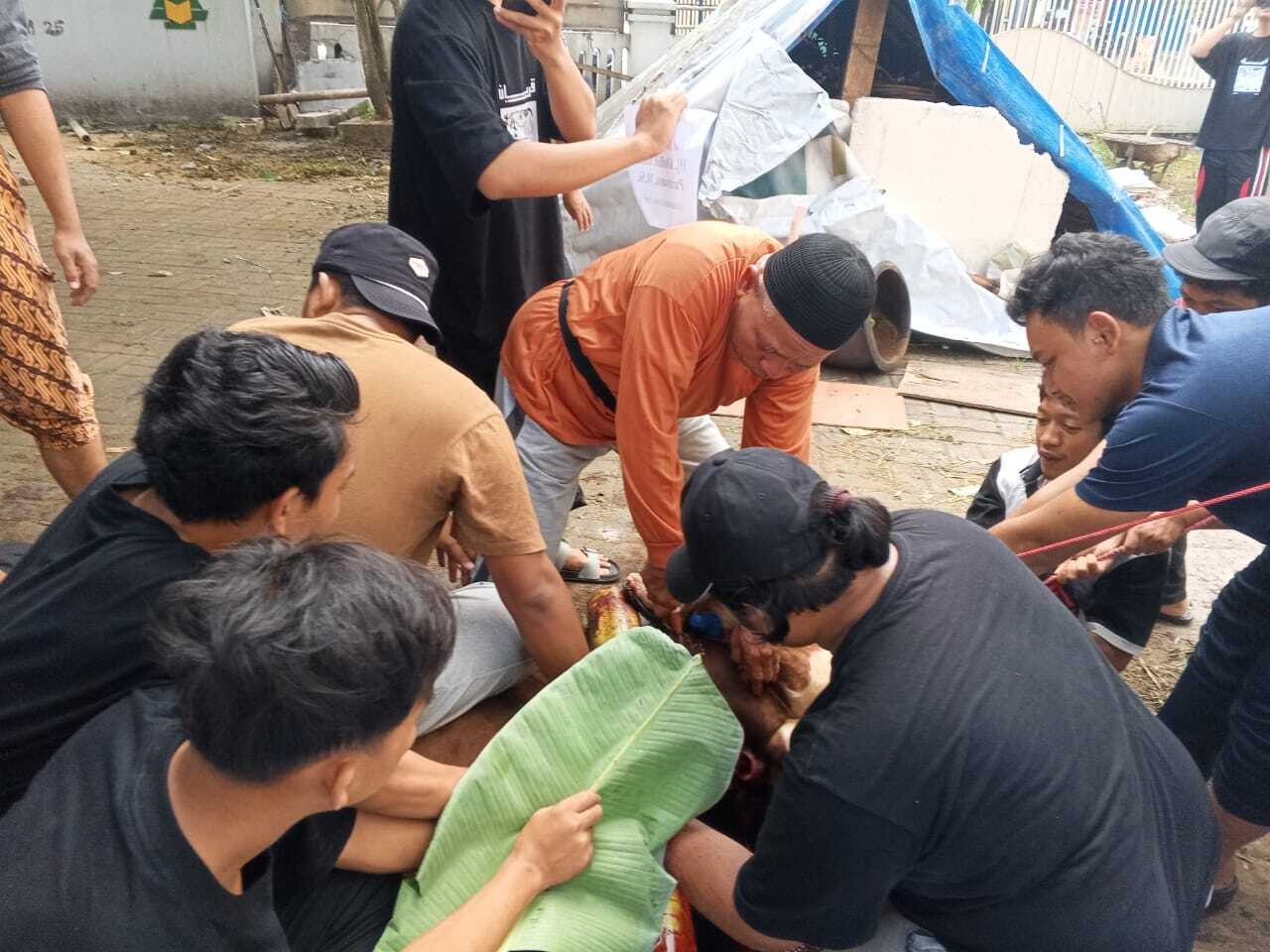 Pesantren Mahasiswa Al Hikam Malang Gelar Penyembelihan Hewan Qurban di Hari Raya Idul Adha 1446 H